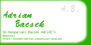 adrian bacsek business card
